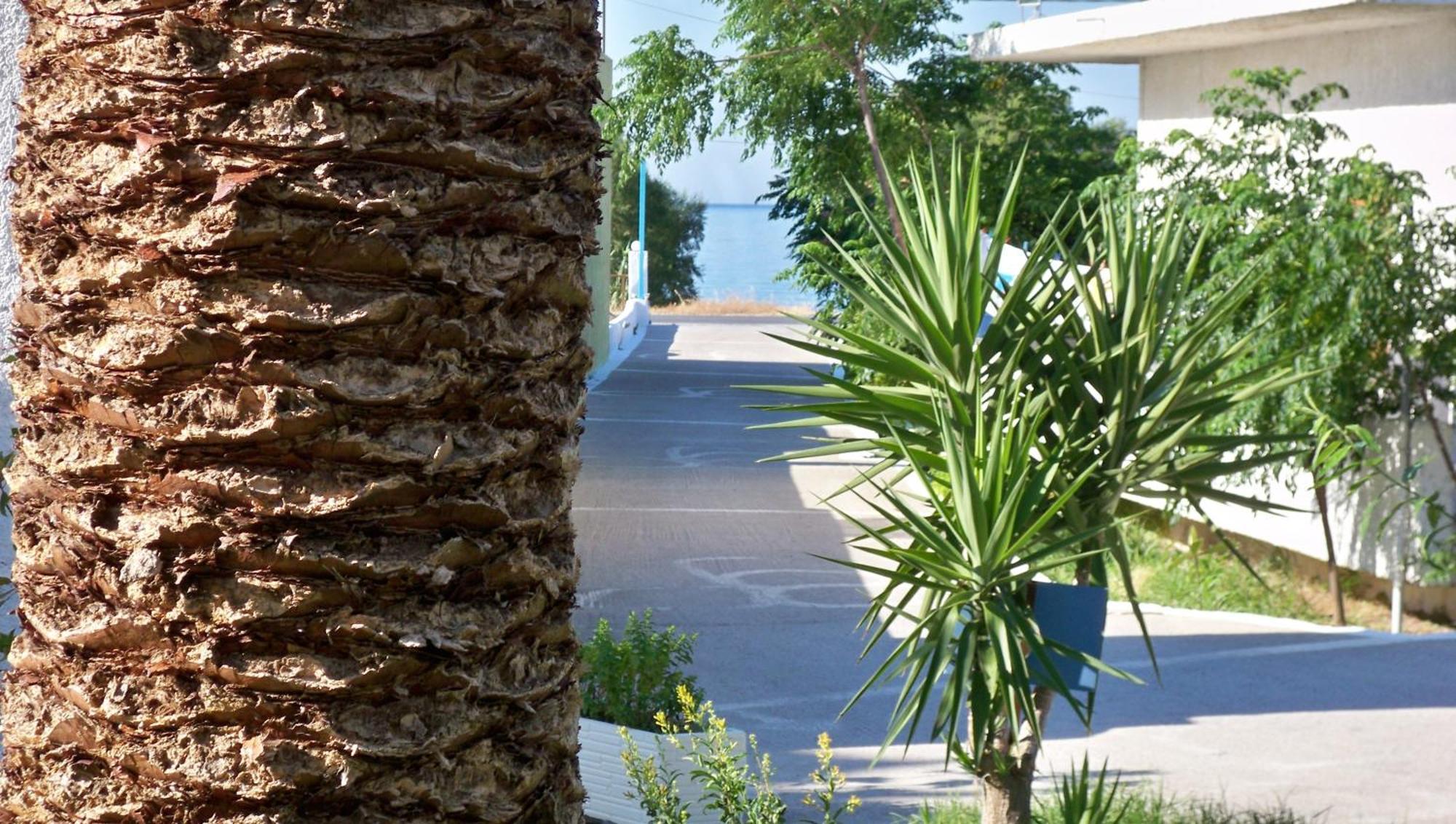 Aphrodite Samos Suites Marathókampos Zewnętrze zdjęcie
