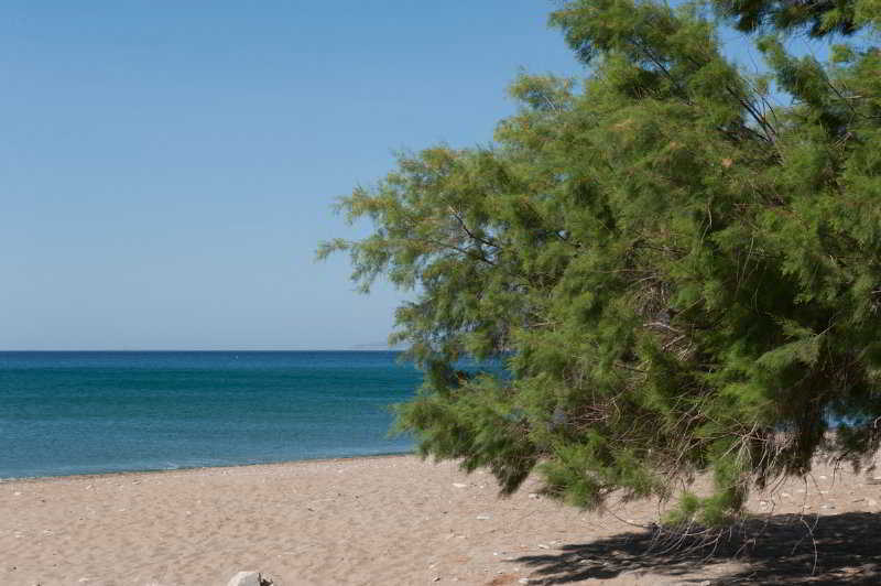 Aphrodite Samos Suites Marathókampos Zewnętrze zdjęcie