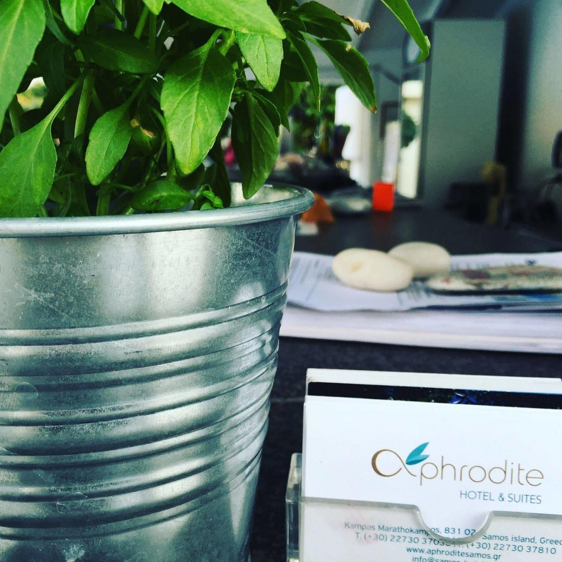 Aphrodite Samos Suites Marathókampos Zewnętrze zdjęcie