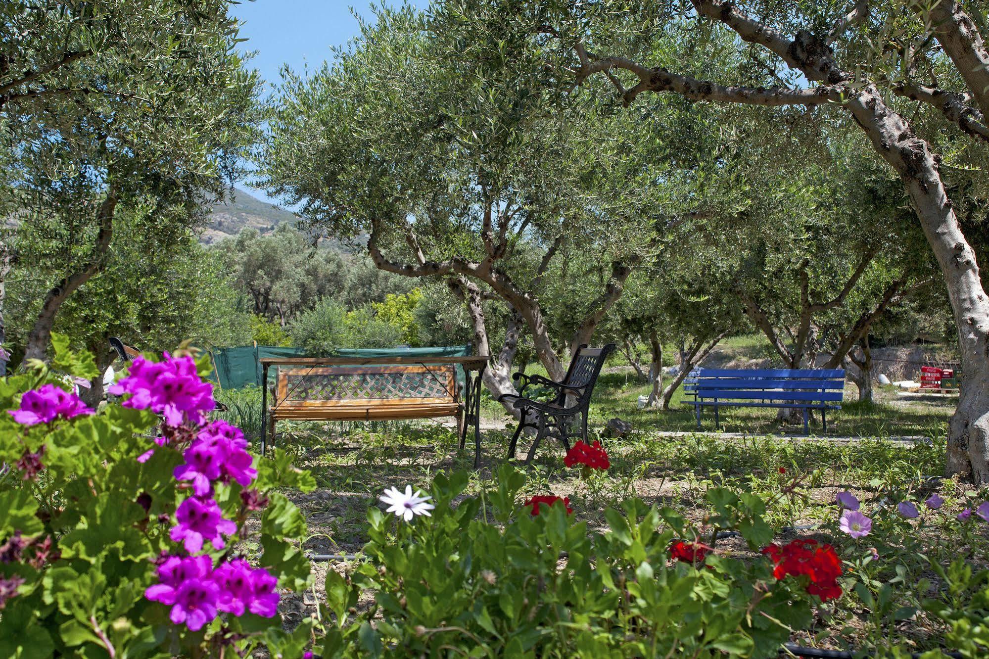 Aphrodite Samos Suites Marathókampos Zewnętrze zdjęcie